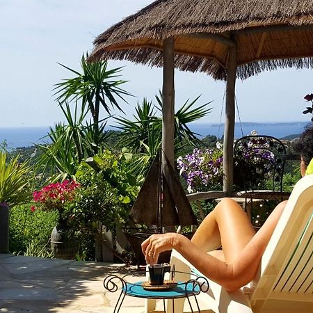 Nouveau ! Chambre D'Hote Insolite Privee " Coeurs De Pirates A Bali En Provence" Spa Sauna Massages Dans Cadre Exotique D'Amenagements Exterieurs D'Exception Ete Comme Hiver Bienvenue !!! กาวาแลร์-ซูร์-แมร์ ภายนอก รูปภาพ
