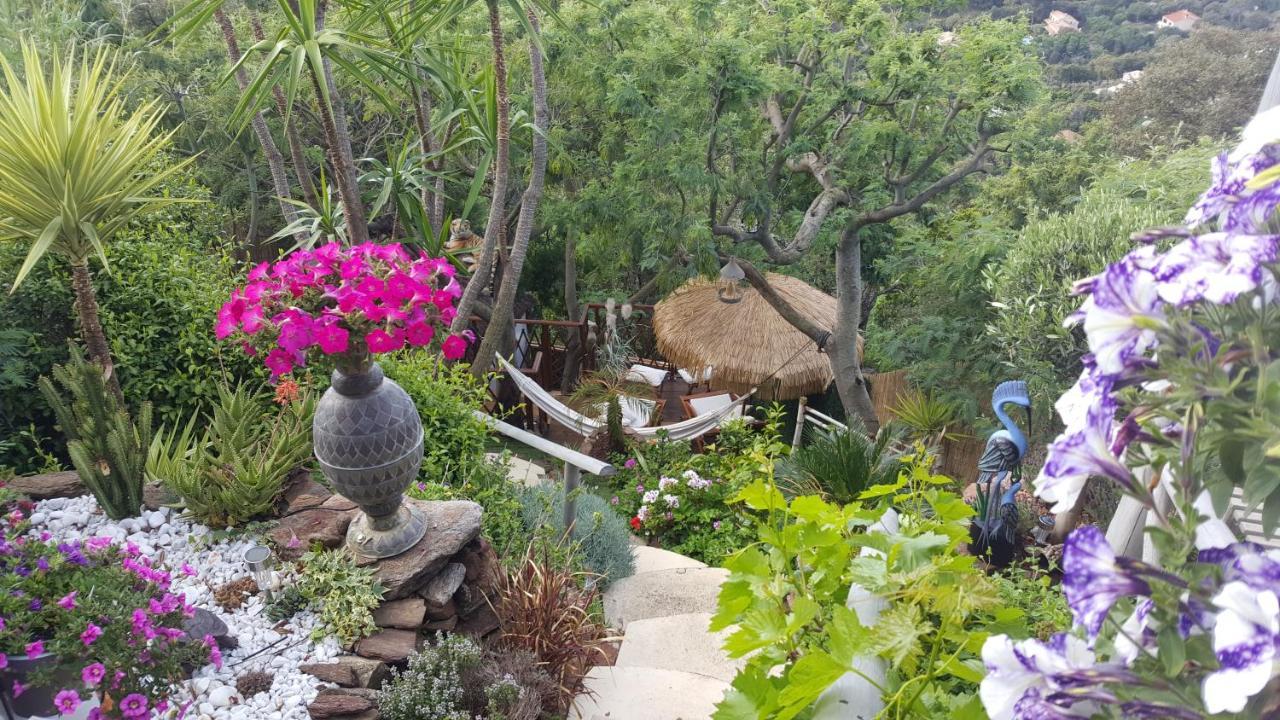 Nouveau ! Chambre D'Hote Insolite Privee " Coeurs De Pirates A Bali En Provence" Spa Sauna Massages Dans Cadre Exotique D'Amenagements Exterieurs D'Exception Ete Comme Hiver Bienvenue !!! กาวาแลร์-ซูร์-แมร์ ภายนอก รูปภาพ