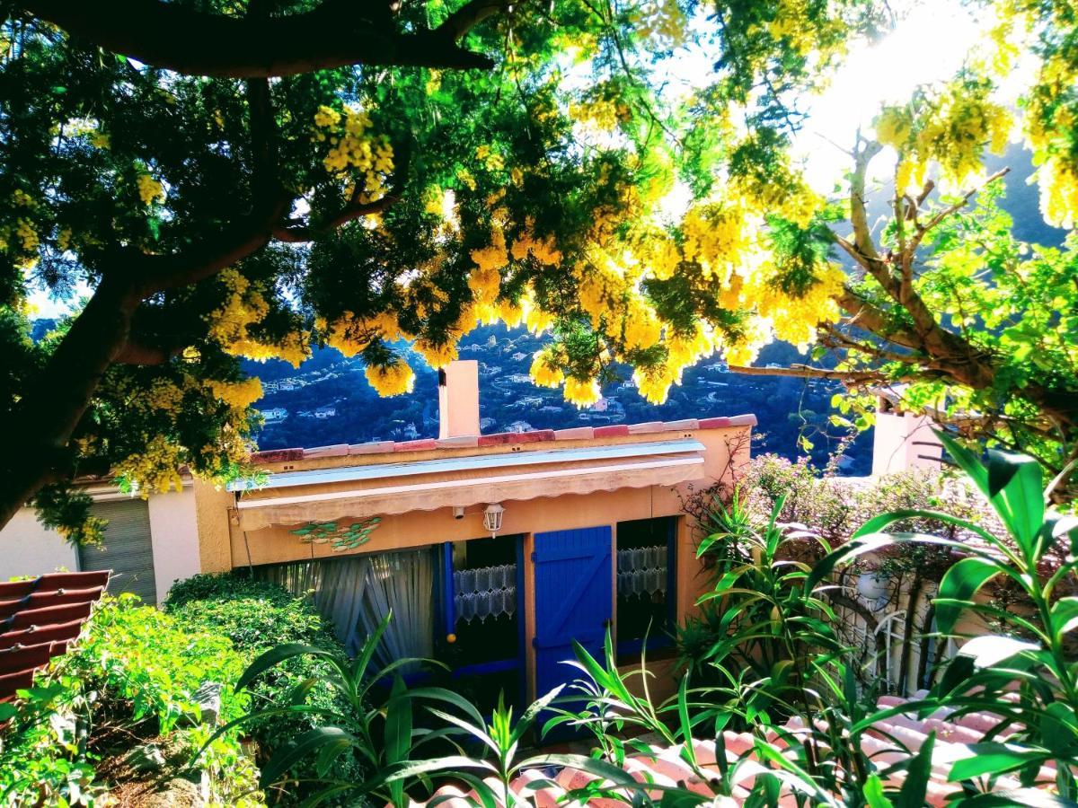 Nouveau ! Chambre D'Hote Insolite Privee " Coeurs De Pirates A Bali En Provence" Spa Sauna Massages Dans Cadre Exotique D'Amenagements Exterieurs D'Exception Ete Comme Hiver Bienvenue !!! กาวาแลร์-ซูร์-แมร์ ภายนอก รูปภาพ